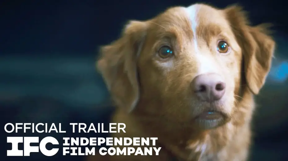 Watch film Good Boy | Official Trailer