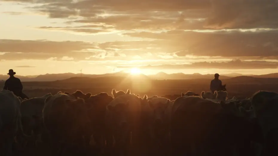Watch film Just A Farmer | JUST A FARMER - Official Trailer