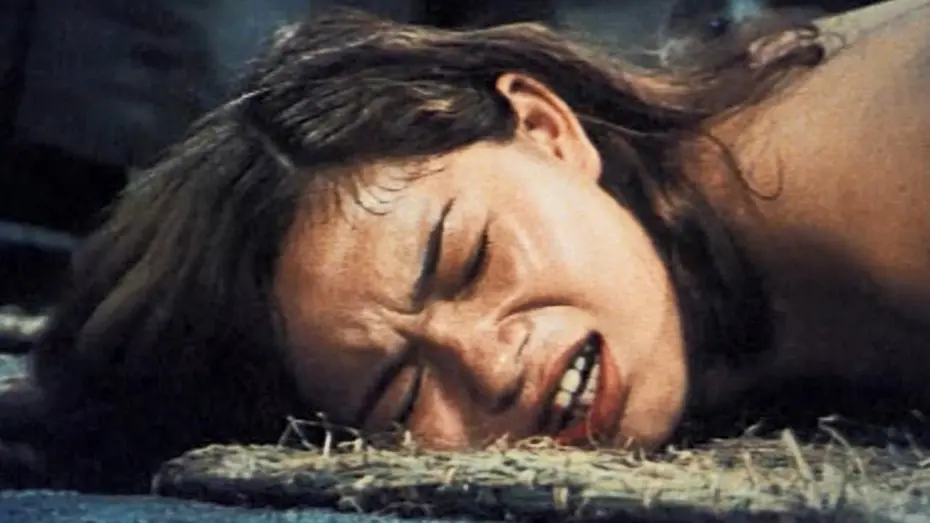 Watch film Shogun