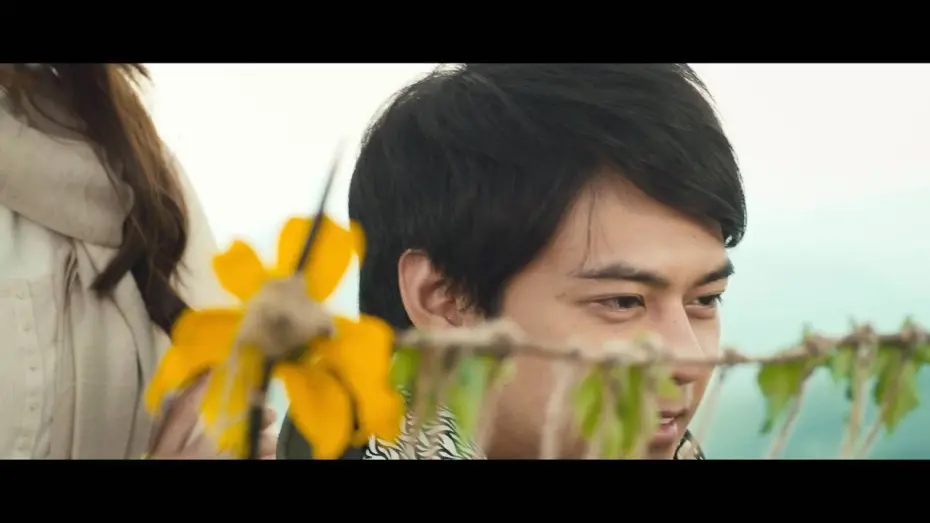 Watch film The Melody | The Melody Official Trailer
