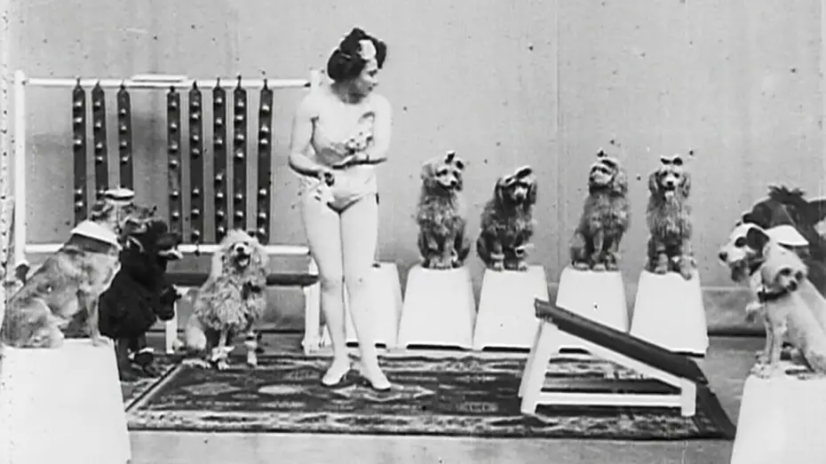 Watch film Miss Dundee and Her Performing Dogs | Miss Dundee and her Performing Dogs (1902)