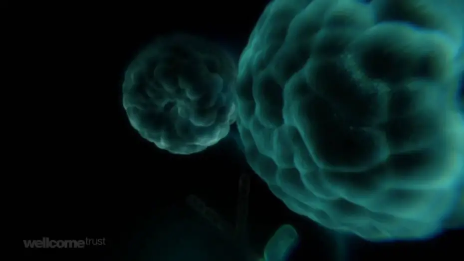 Watch film Charles Darwin and the Tree of Life | Charles Darwin And The Tree Of Life - Sir David Attenborough