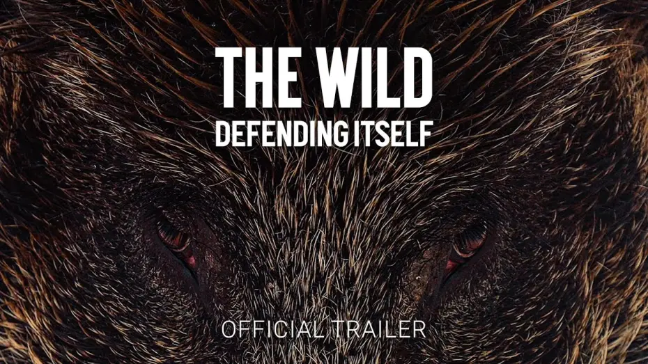 Watch film The Wild Defending Itself | The Wild Defending Itself | Official Trailer