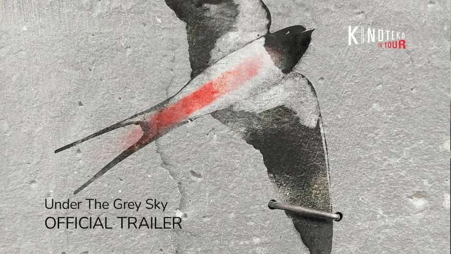 Watch film Under the Grey Sky | Official Trailer | Kinoteka On Tour 2025
