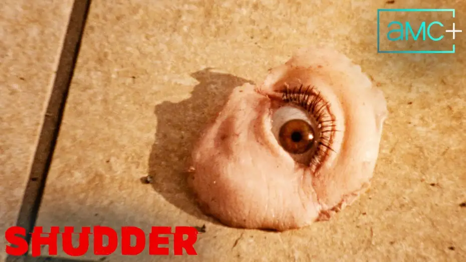 Watch film Reflection in a Dead Diamond | Official Trailer