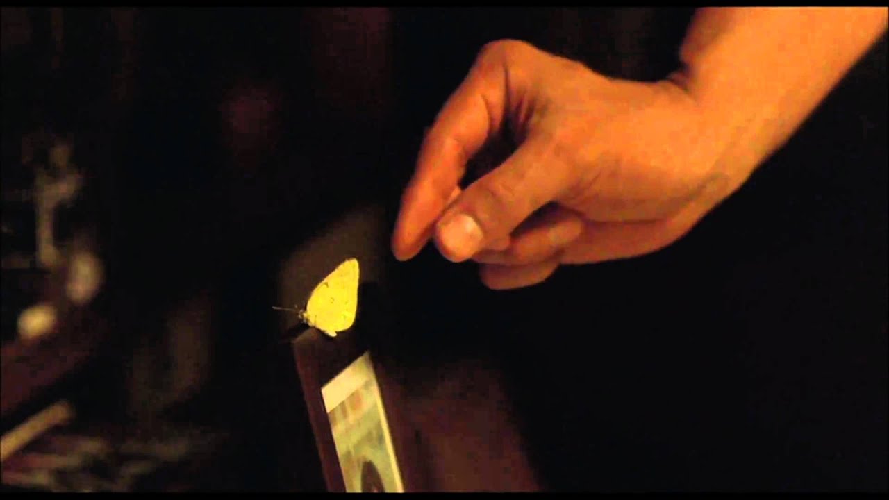 Watch movie trailer
