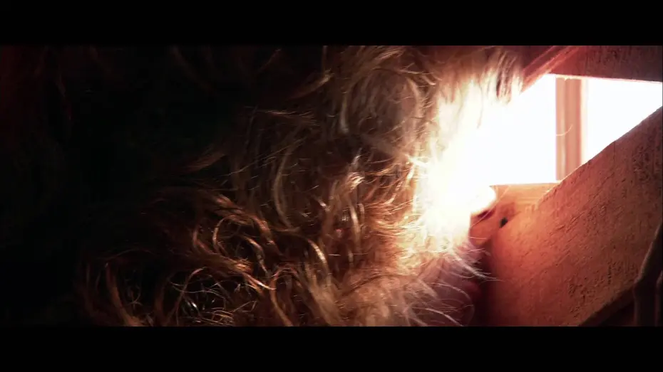 Watch film Feast II: Sloppy Seconds | Feast II: Sloppy Seconds - Trailer