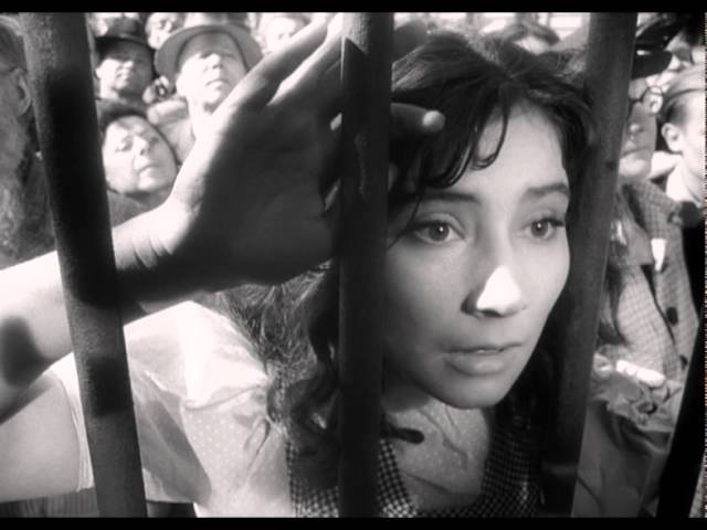 Watch film The Cranes Are Flying | Летят журавли - Trailer