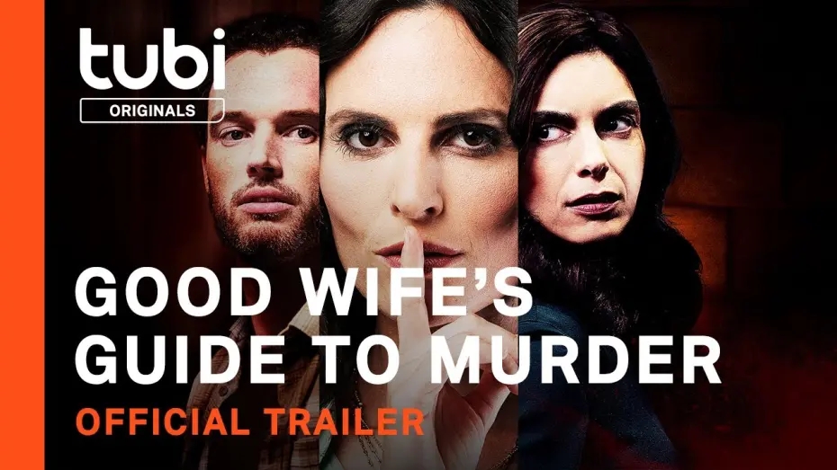 Watch film Good Wife