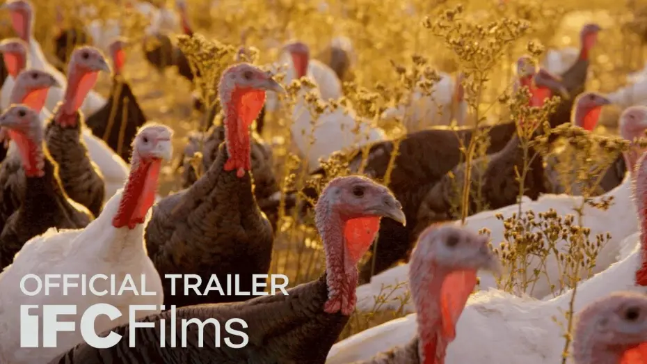 Watch film Eating Animals | Eating Animals - Official Trailer | HD | Sundance Selects