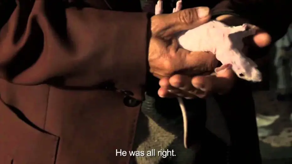 Watch film Between Night and Day | Entre la noche y el d&iacute;a / Trailer