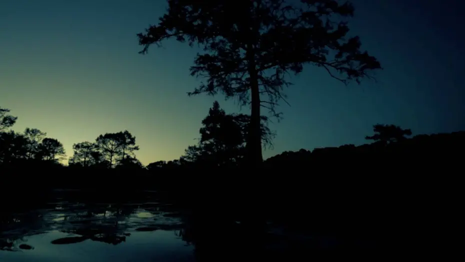 Watch film Boggy Creek Monster | Boggy Creek Monster: The Truth Behind the Legend (2016) Teaser Trailer