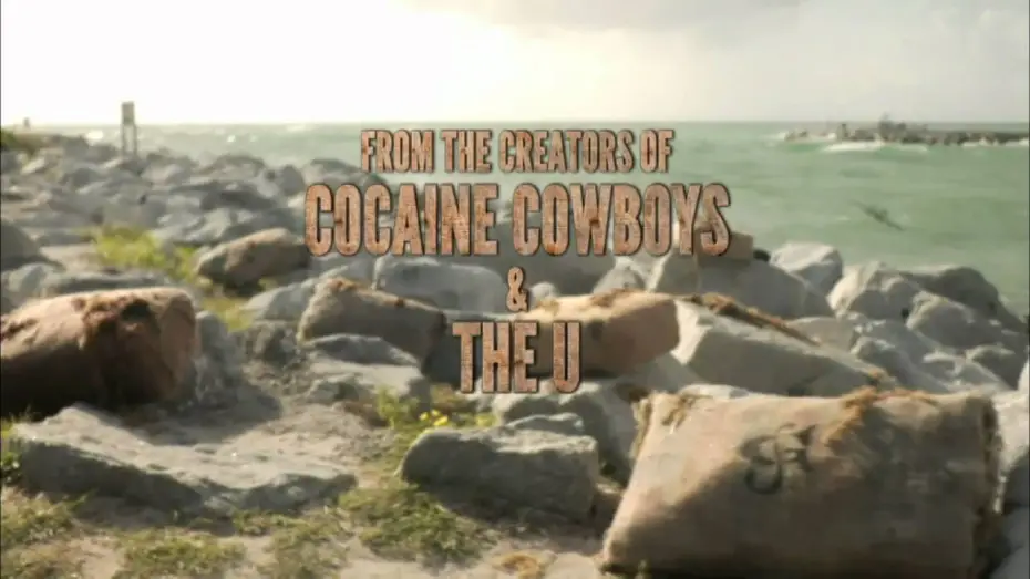 Watch film Square Grouper | Square Grouper Trailer