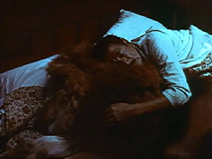Watch film Clarence, the Cross-Eyed Lion | Clarence, The Cross-Eyed Lion - Trailer