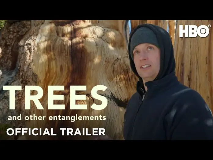 Watch film Trees and Other Entanglements | Official Trailer