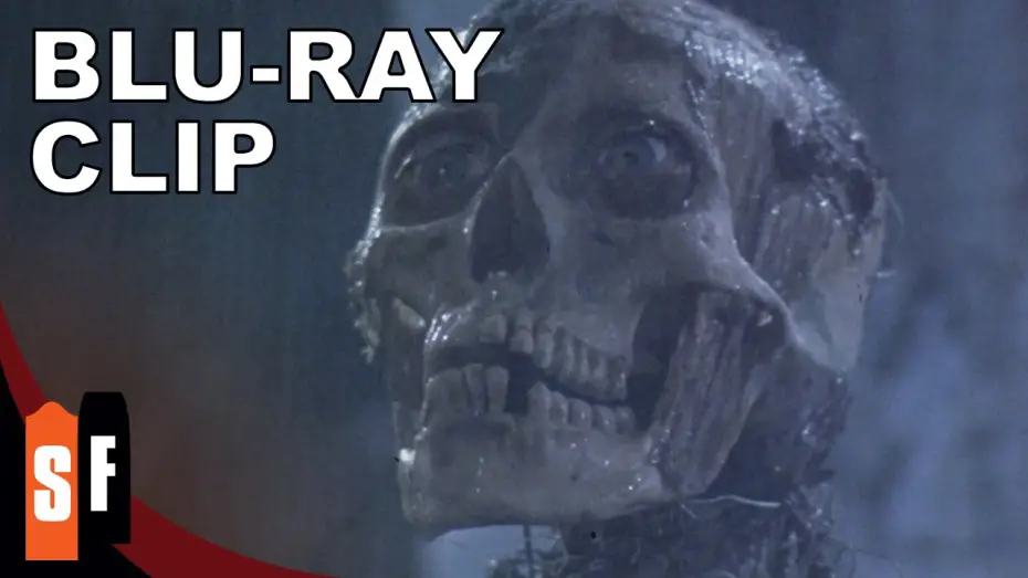 Watch film The Return of the Living Dead | Party TIme!