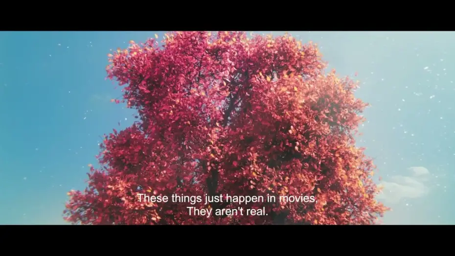 Watch film Land of The Dead Deer | LAND OF THE DEAD DEER (15