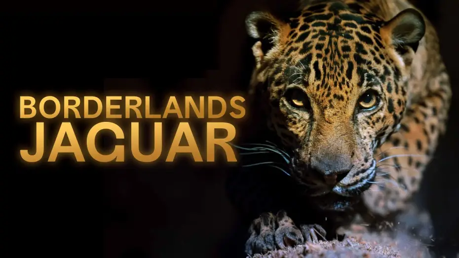 Watch film Borderlands Jaguar | Borderlands Jaguar - Official Trailer - Available on AppleTV & Amazon Prime