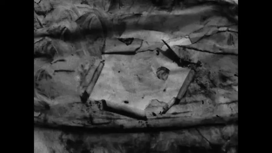 Watch film Daily Routines | Daily routines