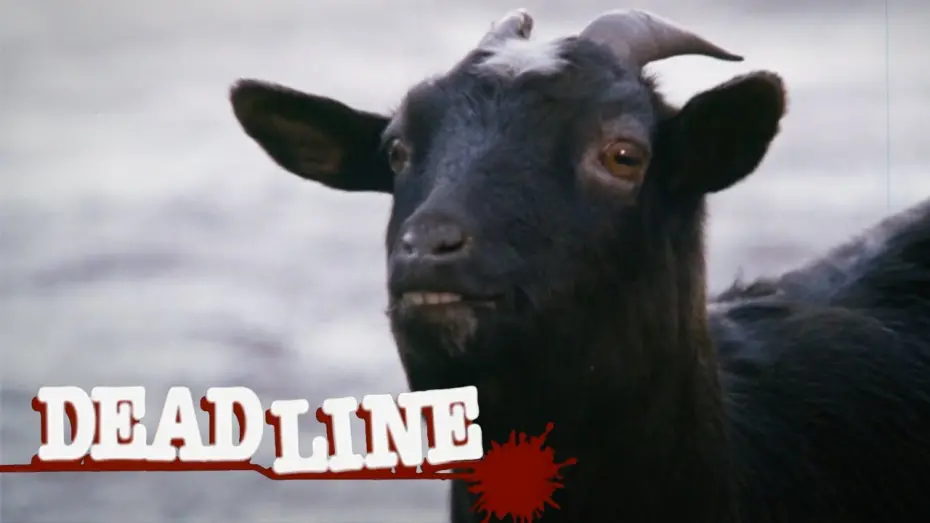 Watch film Deadline | Deadline Clip - Black goat