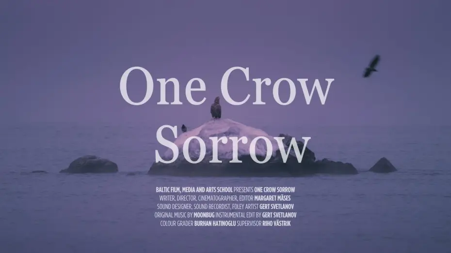 Watch film One Crow Sorrow | Varesele valu / One Crow Sorrow (trailer)