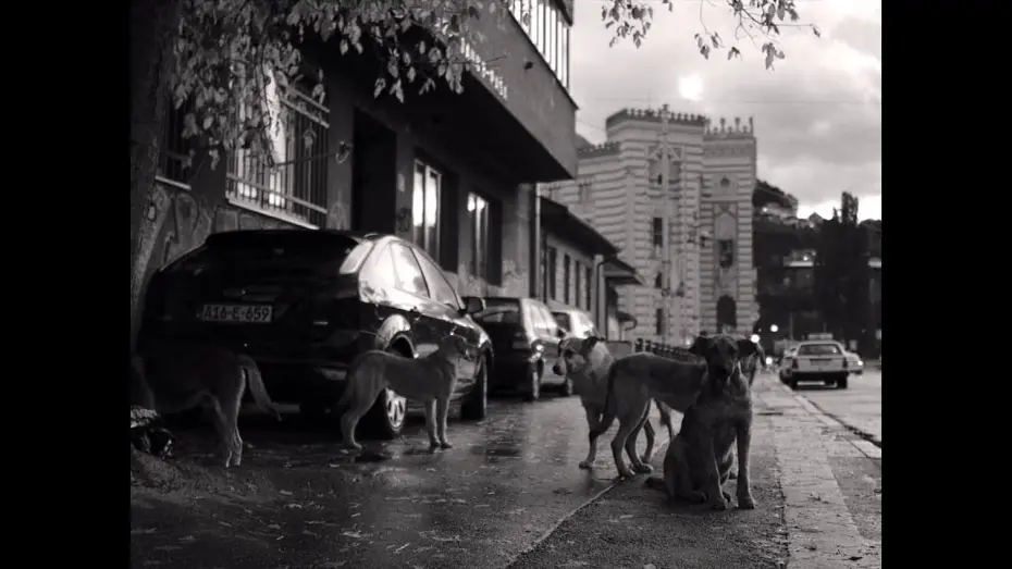 Watch film Faith | Filmmuseum-Trailer: "Faith" (Lav Diaz, 2024)