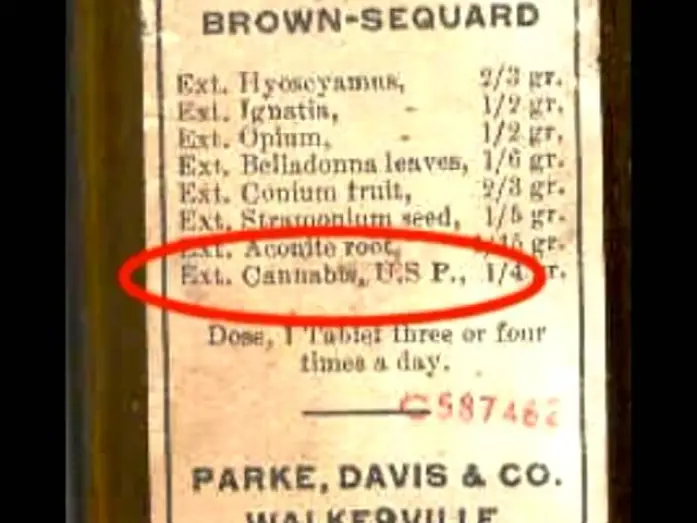 Watch film La vera storia della marijuana | "The True History of Marijuana" - TRAILER