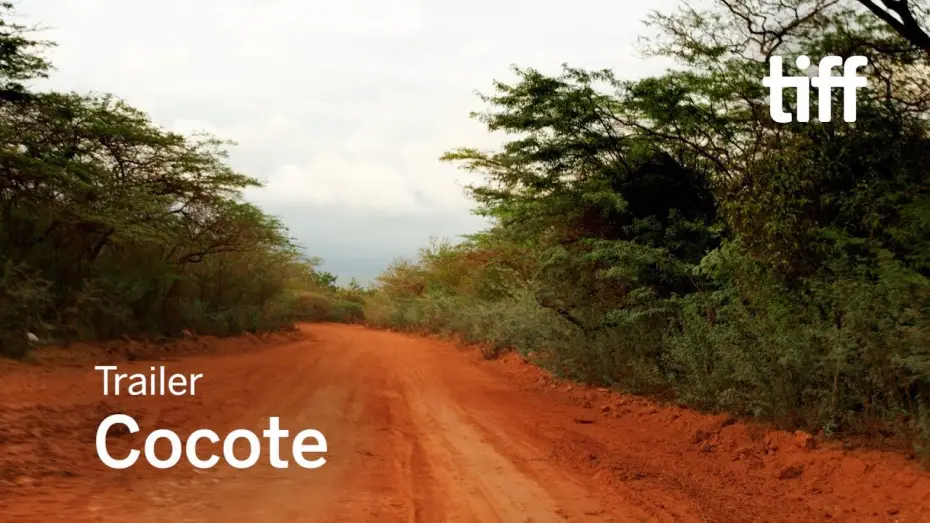 Watch film Cocote | COCOTE Trailer | TIFF 2017