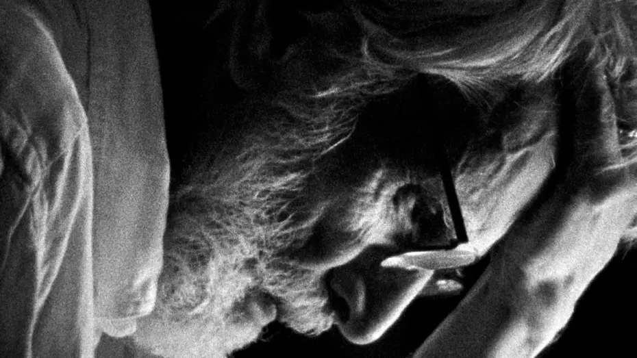 Watch film Later in the Clearing | Later in the Clearing – trailer | IFFR