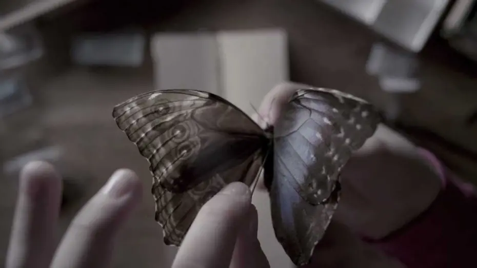 Watch film The Butterfly Room | The Butterfly Room - Teaser
