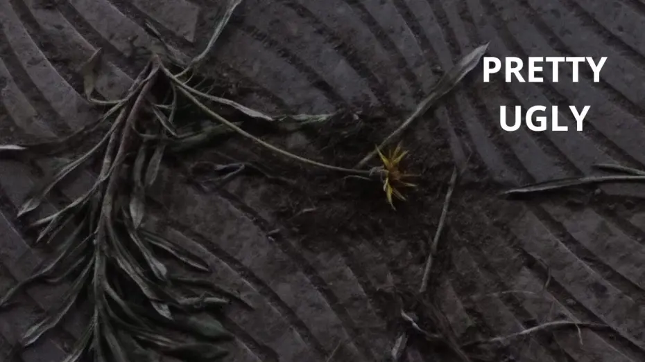 Watch film Pretty Ugly | Pretty Ugly by Omar Mohamed (experimental short film)