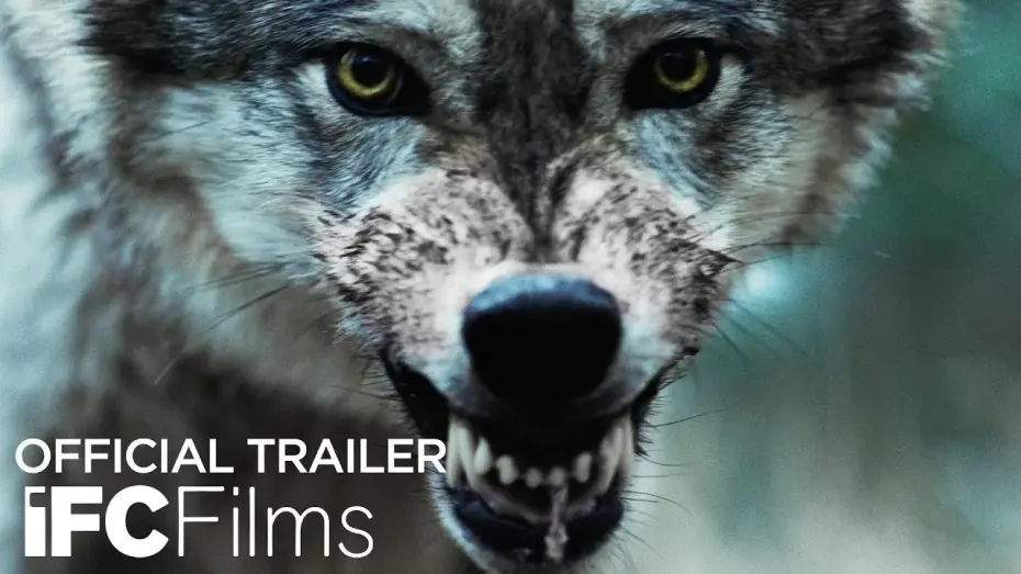 Watch film Out Come the Wolves | Official Trailer