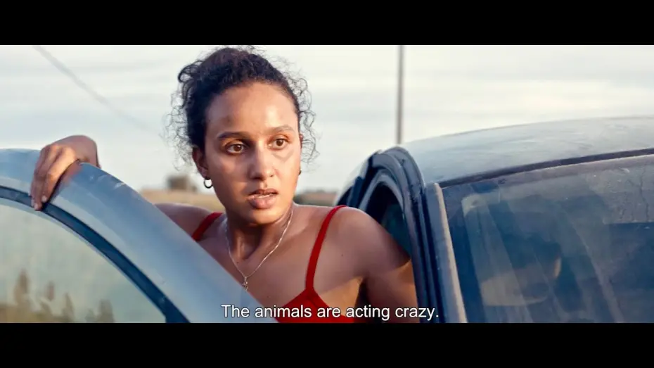 Watch film Animale | Animale (2024) - Trailer (English Subs)