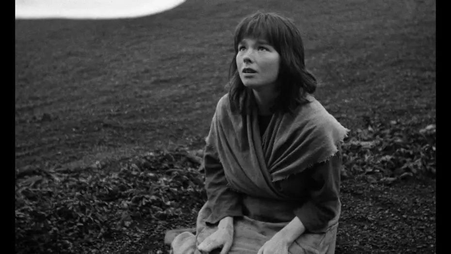 Watch film The Juniper Tree | Official Trailer