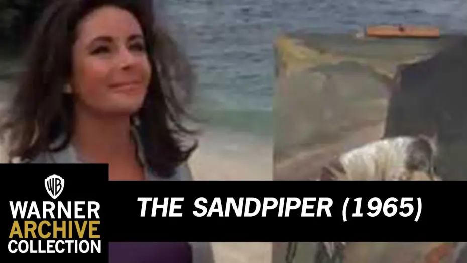 Watch film The Sandpiper | Open