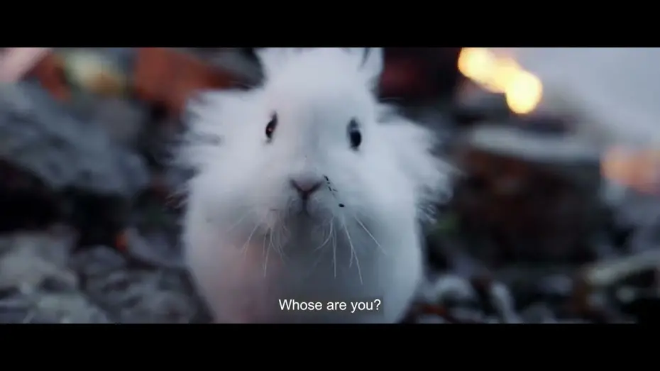 Watch film Animals in War | Trailer [Subtitled]
