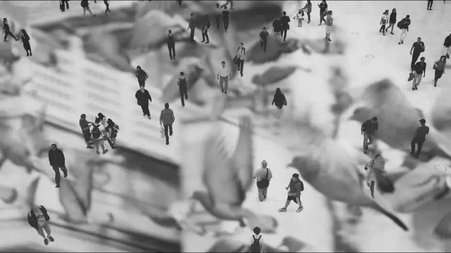 Watch film Sonder | sonder