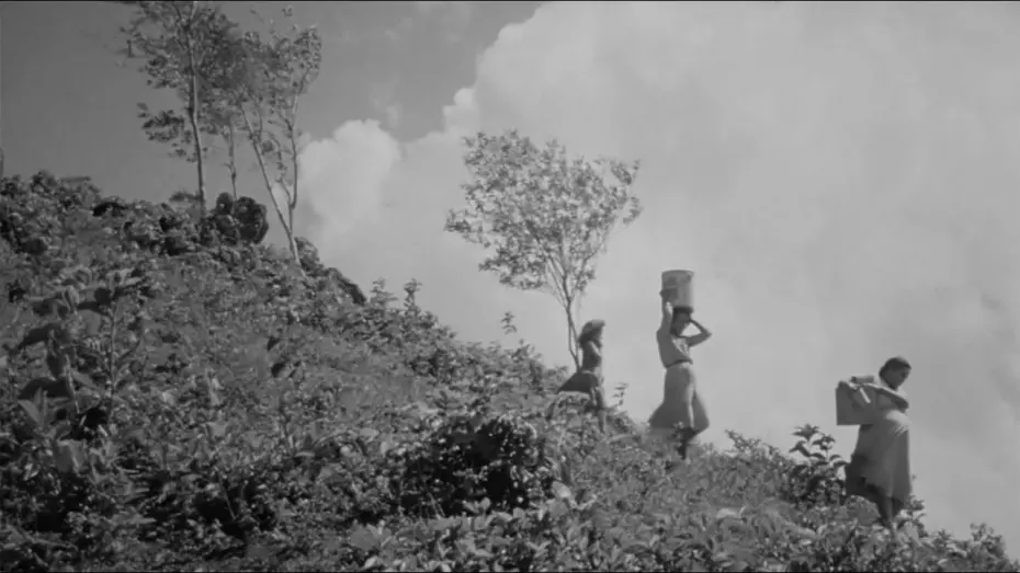 Watch film Everything Seemed Possible | Todo Parecía Posible – trailer | IFFR 2025