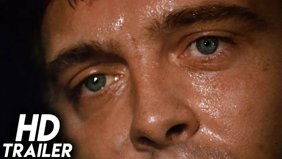 Watch film Fragment of Fear | Fragment of Fear (1970) ORIGINAL TRAILER [HD 1080p]