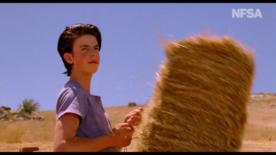 Watch film The Year My Voice Broke | The Year My Voice Broke (1987) - NFSA Restores trailer