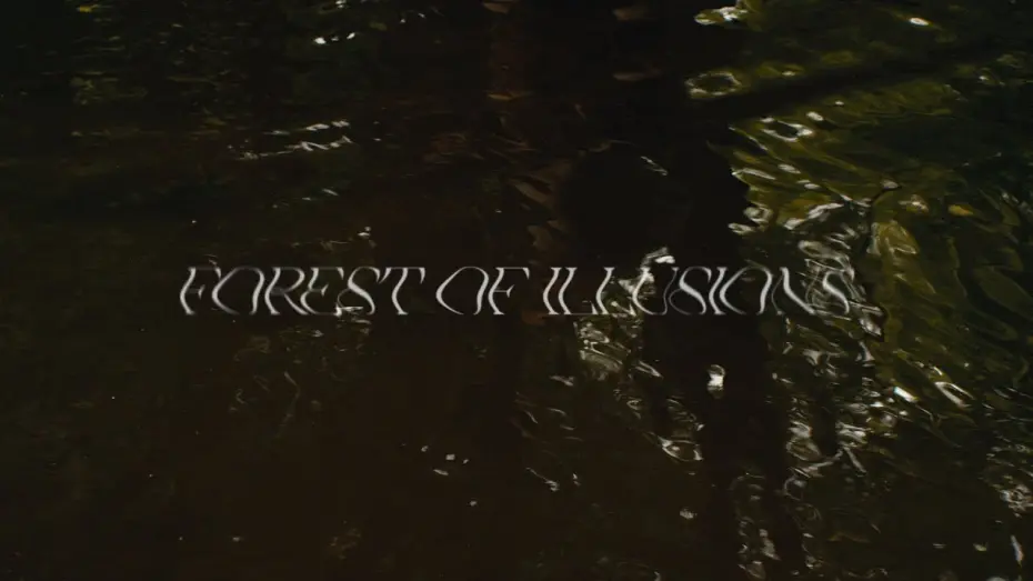 Watch film Forest of Illusions | Forest of Illusions - Teaser