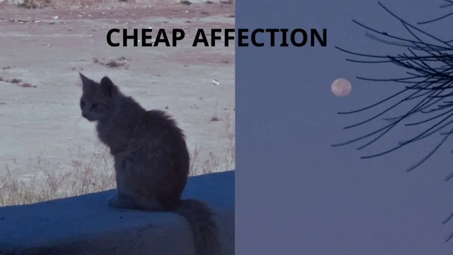 Watch film Cheap Affection | Cheap Affection By Omar Mohamed (Short Film)
