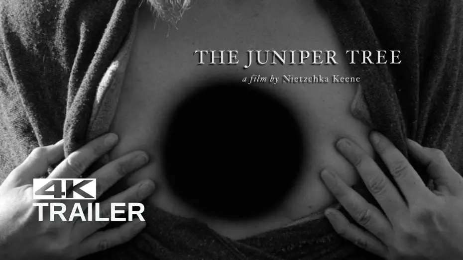 Watch film The Juniper Tree | THE JUNIPER TREE Trailer [1990]