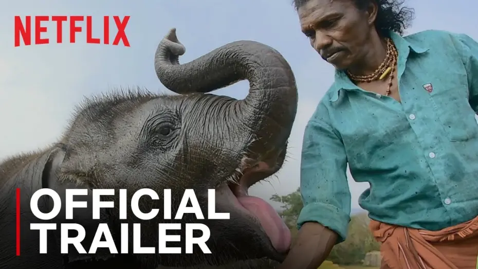 Watch film The Elephant Whisperers | Official Trailer