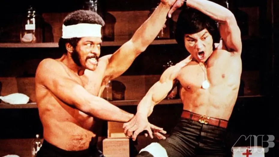 Watch film Iron Fists and Kung Fu Kicks | Trailer