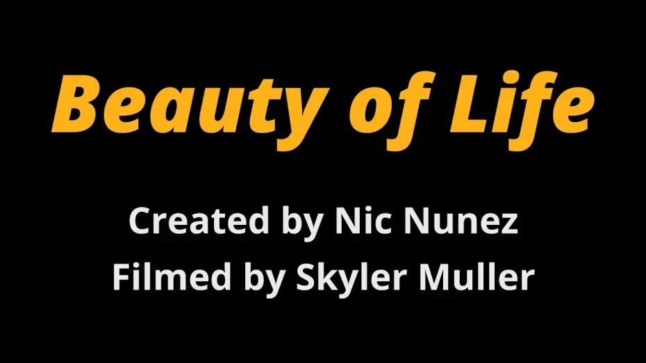 Watch film Beauty of Life | Beauty of Life Trailer