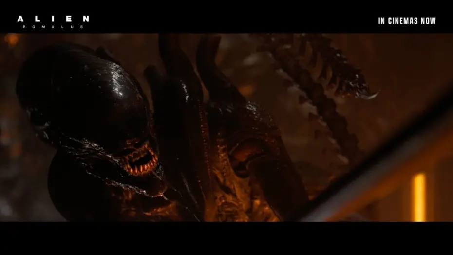 Watch film Alien: Romulus | Run