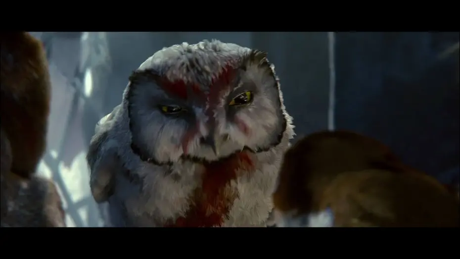 Watch film Legend of the Guardians: The Owls of Ga