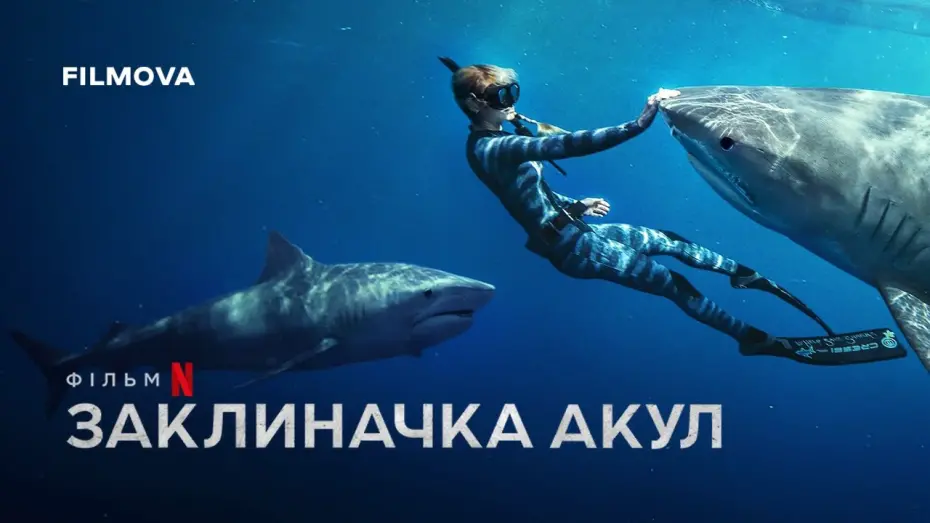 Watch film Shark Whisperer | Український трейлер