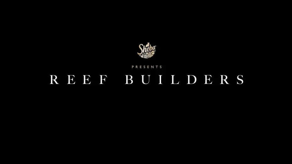 Watch film Reef Builders | Trailer